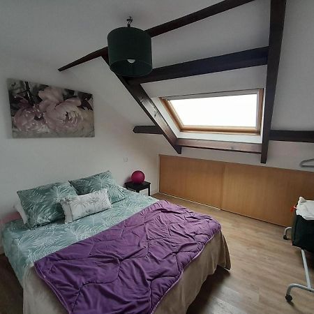 T3 Hyper Centre Vannes Apartment Luaran gambar